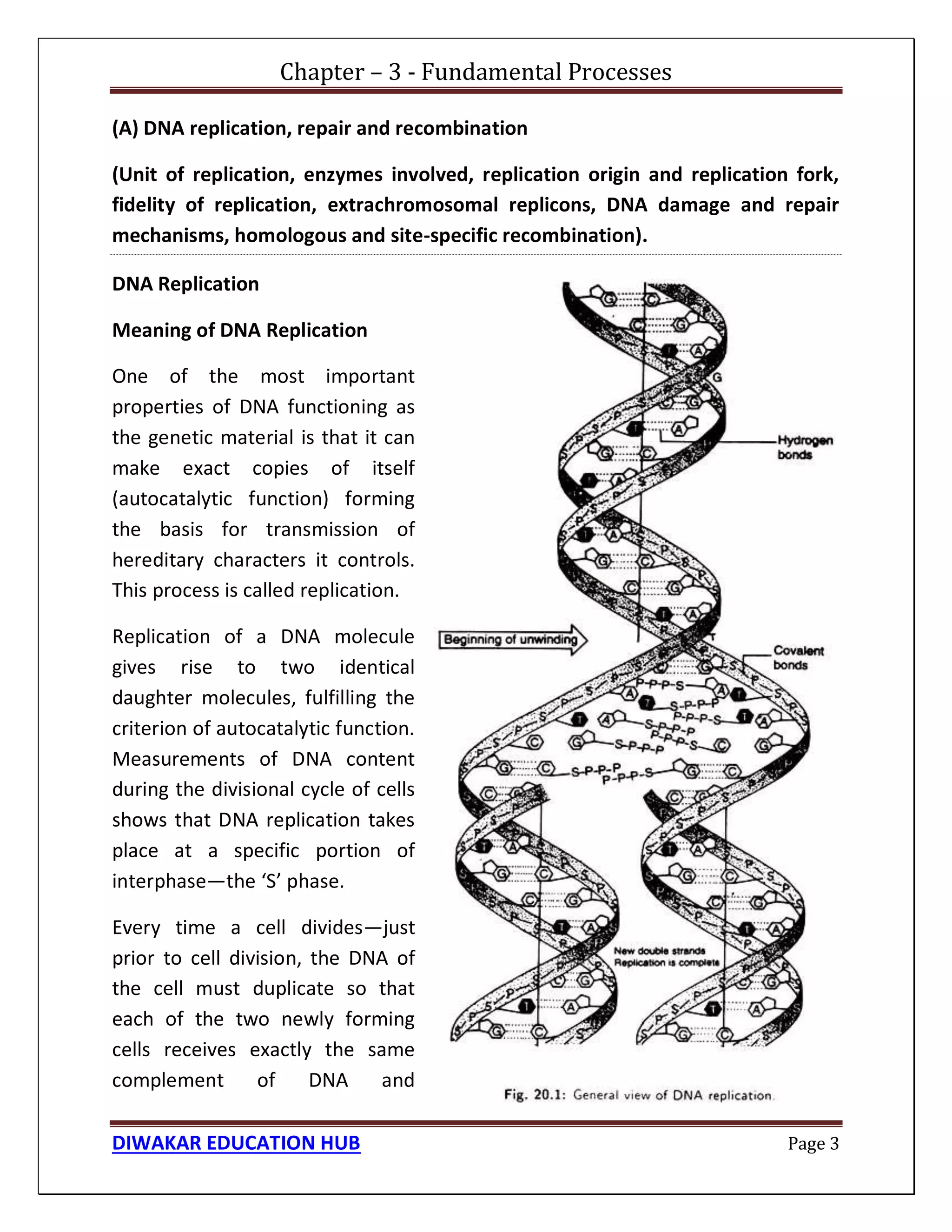 Chapter – 3 - Fundamental Processes
DIWAKAR EDUCATION HUB Page 3
(A) DNA replication, repair and recombination
(Unit of replication, enzymes involved, replication origin and replication fork,
fidelity of replication, extrachromosomal replicons, DNA damage and repair
mechanisms, homologous and site-specific recombination).
DNA Replication
Meaning of DNA Replication
One of the most important
properties of DNA functioning as
the genetic material is that it can
make exact copies of itself
(autocatalytic function) forming
the basis for transmission of
hereditary characters it controls.
This process is called replication.
Replication of a DNA molecule
gives rise to two identical
daughter molecules, fulfilling the
criterion of autocatalytic function.
Measurements of DNA content
during the divisional cycle of cells
shows that DNA replication takes
place at a specific portion of
interphase—the ‘S’ phase.
Every time a cell divides—just
prior to cell division, the DNA of
the cell must duplicate so that
each of the two newly forming
cells receives exactly the same
complement of DNA and
 