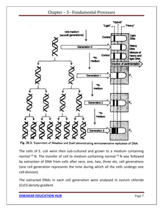 Chapter – 3 - Fundamental Processes
DIWAKAR EDUCATION HUB Page 7
The cells of E. coli were then sub-cultured and grown to a medium containing
normal 14 N. The transfer of cell to medium containing normal 14 N was followed
by extraction of DNA from cells after zero, one, two, three etc. cell generations
(one cell generation represents the time during which all the cells undergo one
cell division).
The extracted DNAs in each cell generation were analysed in cesium chloride
(CsCl) density gradient.
 