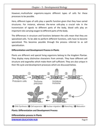 Chapter – 5 - Developmental Biology
DIWAKAR EDUCATION HUB Page 8
However, multicellular organisms require different types of cells for these
processes to be possible.
Here, different types of cells play a specific function given that they have varied
structures. For instance, whereas the nerve cells play a crucial role in the
transmission of signals to different parts of the body, blood cells play an
important role carrying oxygen to different parts of the body.
The differences in structure and functions between the cells mean that they are
specialized cells. To be able to perform different functions, cells have to become
specialized. This becomes possible through the process referred to as cell
specialization.
Differentiation and Development Process in Plants
Plants are different and special living organisms belong to the kingdom Plantae.
They display many distinctive characters from animals. They have different cell
structure and organelles which make them self-sufficient. They are also unique in
their life cycle and development processes which are discussed below.
Plants: Differentiation and Development Process
Differentiation process in Plants
 
