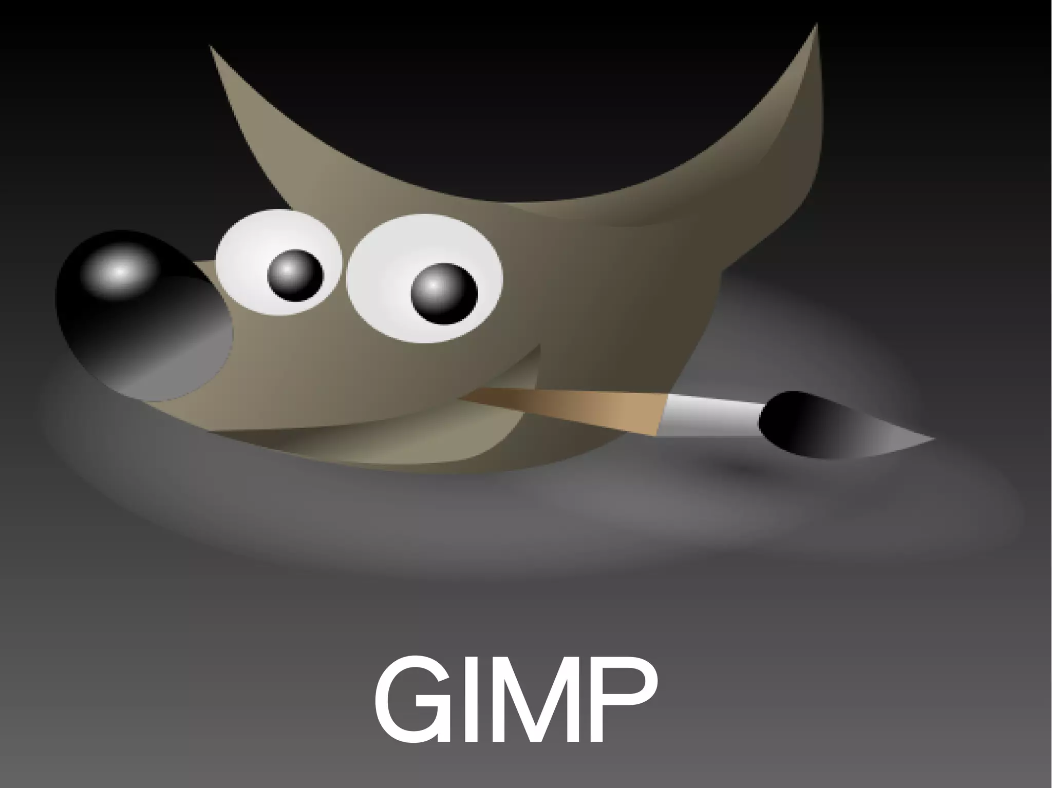 GIMP
 