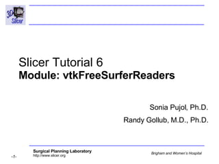 Slicer Tutorial 6  Module: vtkFreeSurferReaders  Sonia Pujol, Ph.D. Randy Gollub, M.D., Ph.D. 