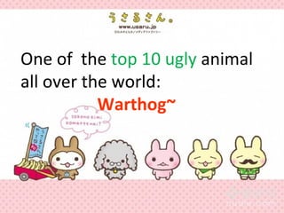 One of the top 10 ugly animal
all over the world:
           Warthog~
 