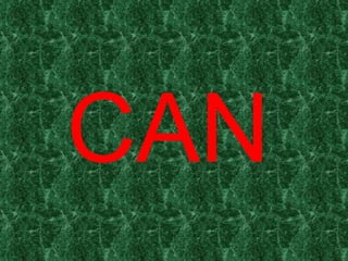 CAN 