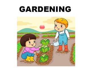 Free time activities