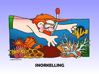 SNORKELLING 