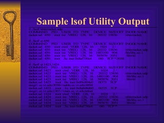 Sample lsof Utility Output 