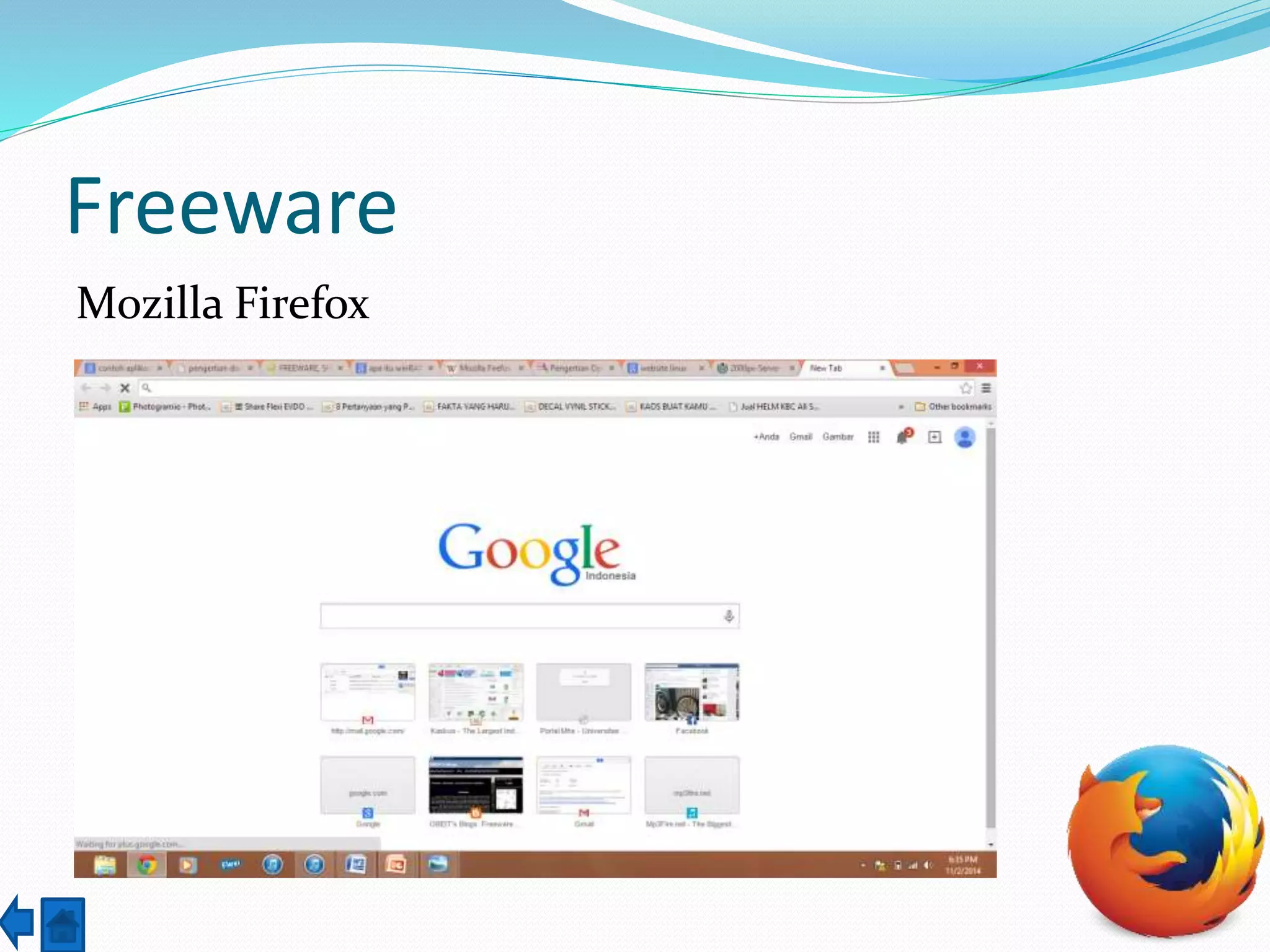Freeware 
Mozilla Firefox 
 