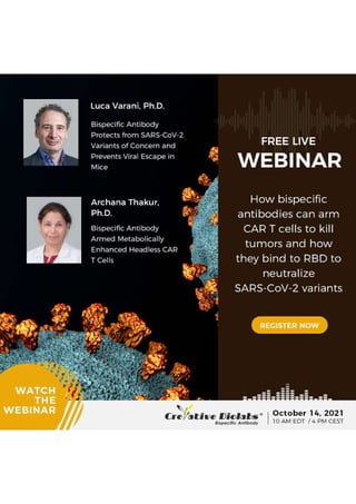 Free Webinar: Harnessing the Power of Bispecific Antibodies