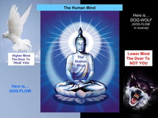 Higher Mind The Door To  TRUE YOU Lower Mind The Door To  NOT YOU The  Human Mind The Human Mind Here is… GOD-FLOW Here is… DOG-WOLF (GOD-FLOW  in reverse) 