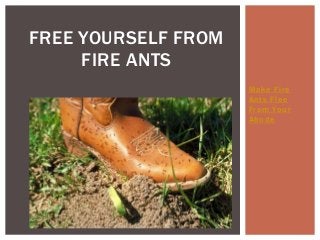 Make Fire 
Ants Flee 
From Your 
Abode 
FREE YOURSELF FROM 
FIRE ANTS 
 
