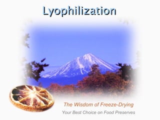Lyophilization The Wisdom of Freeze-Drying Your Best Choice on Food Preserves 