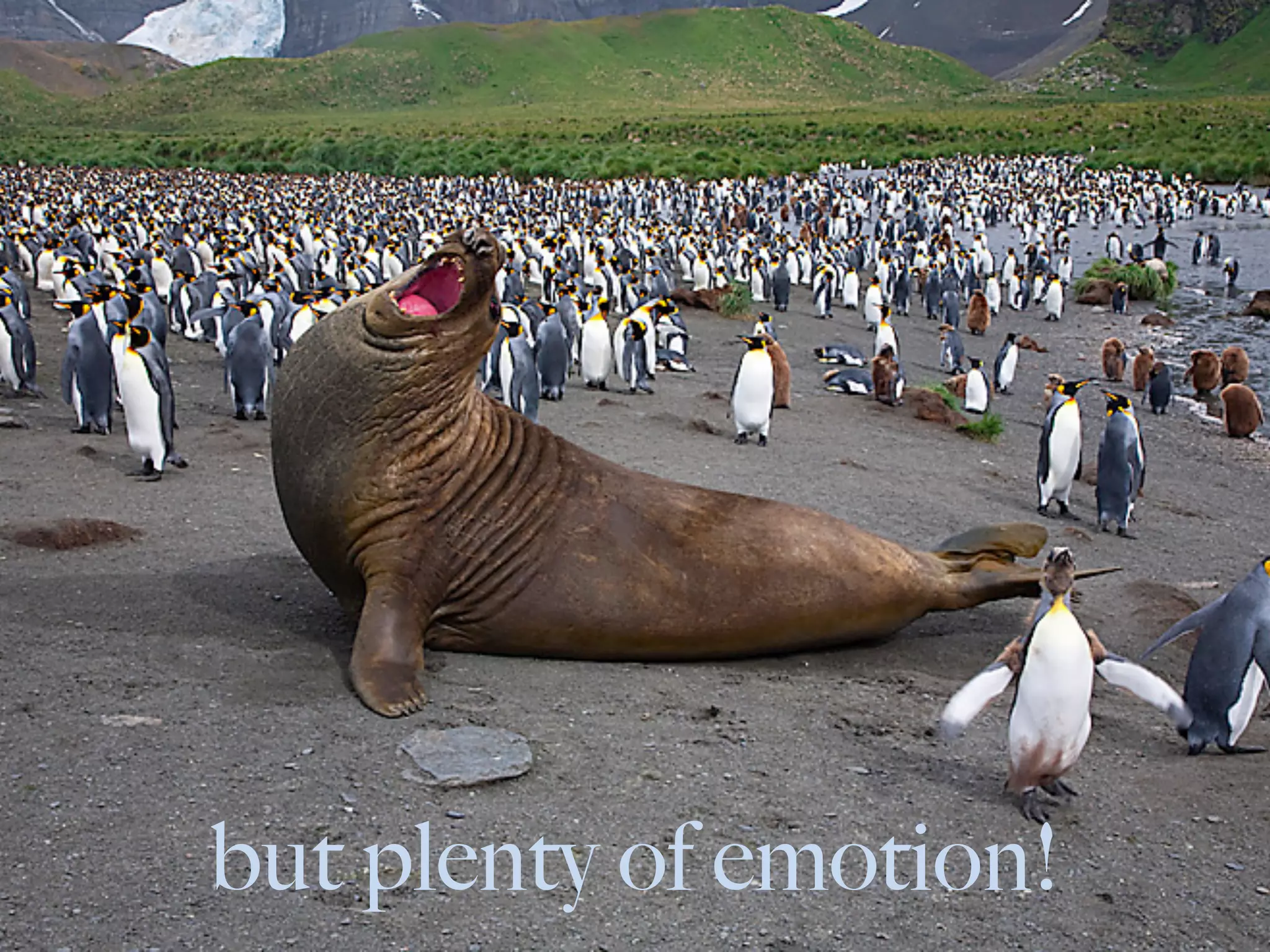 but plenty of emotion!