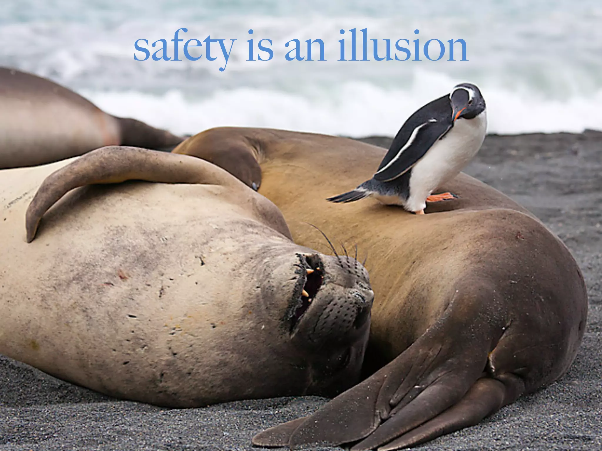 safety is an illusion