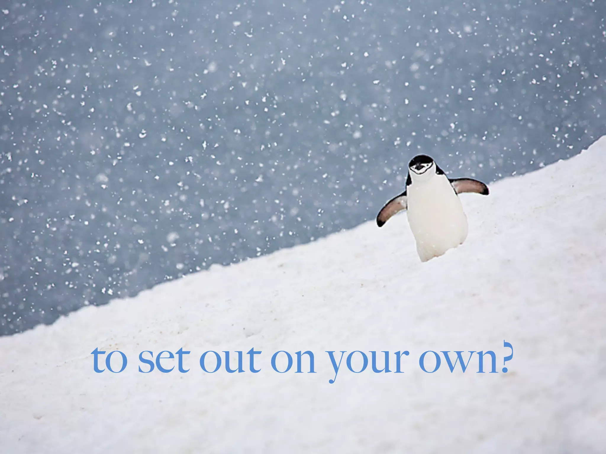 to set out on your own?