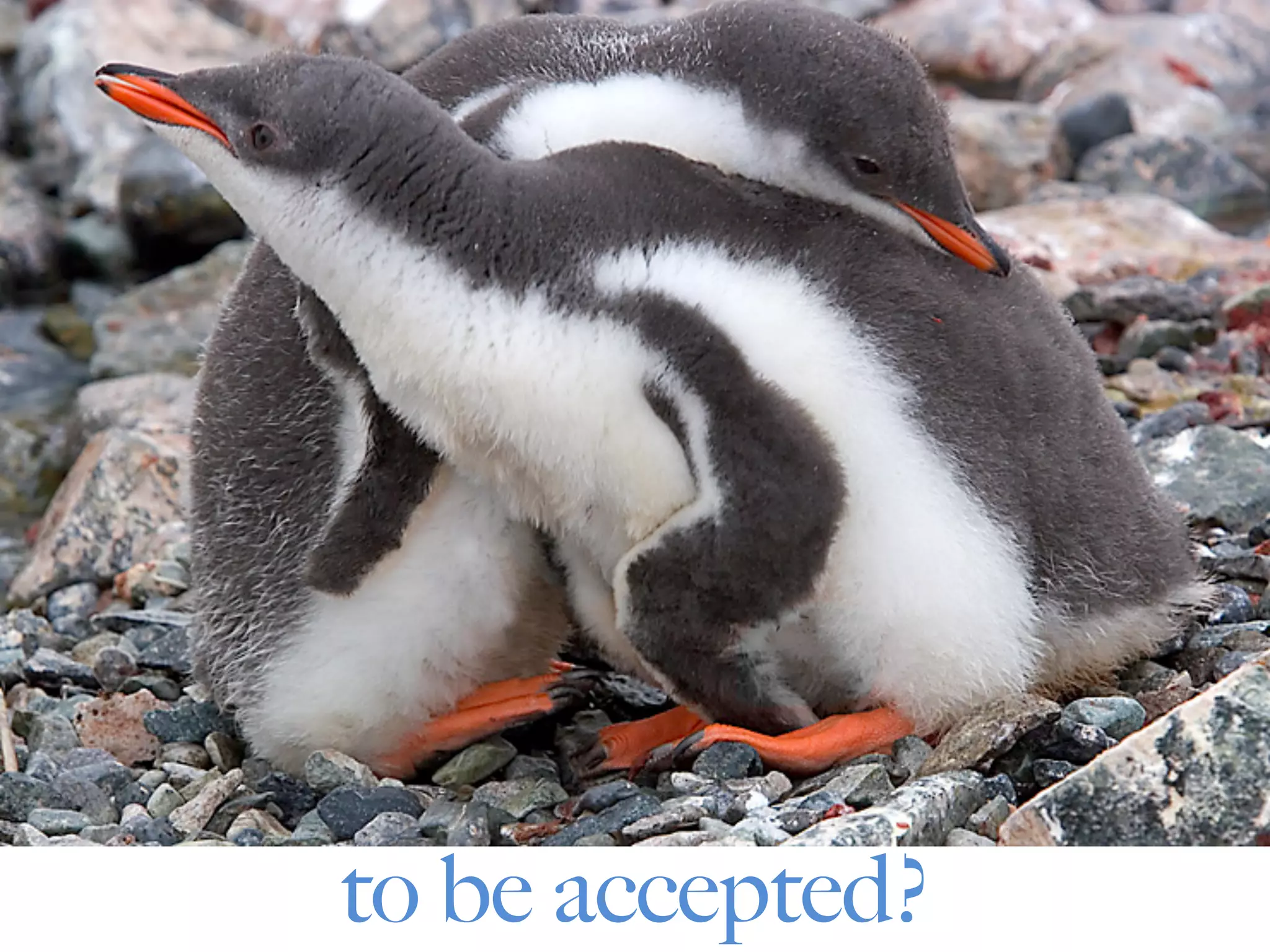 to be accepted?