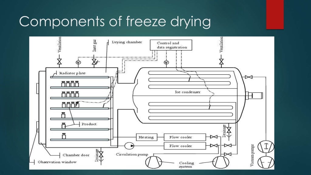 Freeze drying