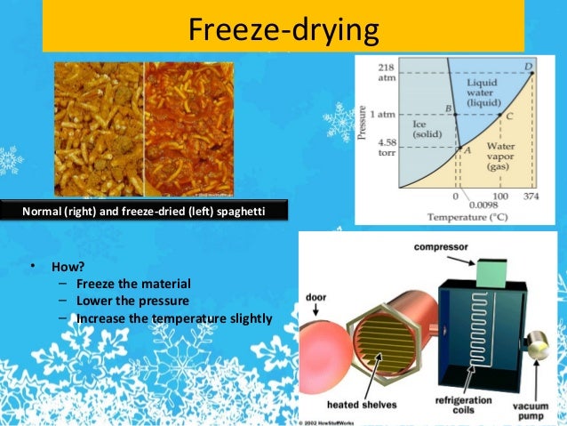 freeze drying phase diagram freeze drying freeze drying phase diagram freeze drying
