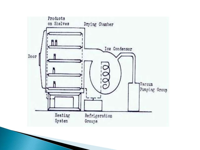 Freeze drying | PPTX