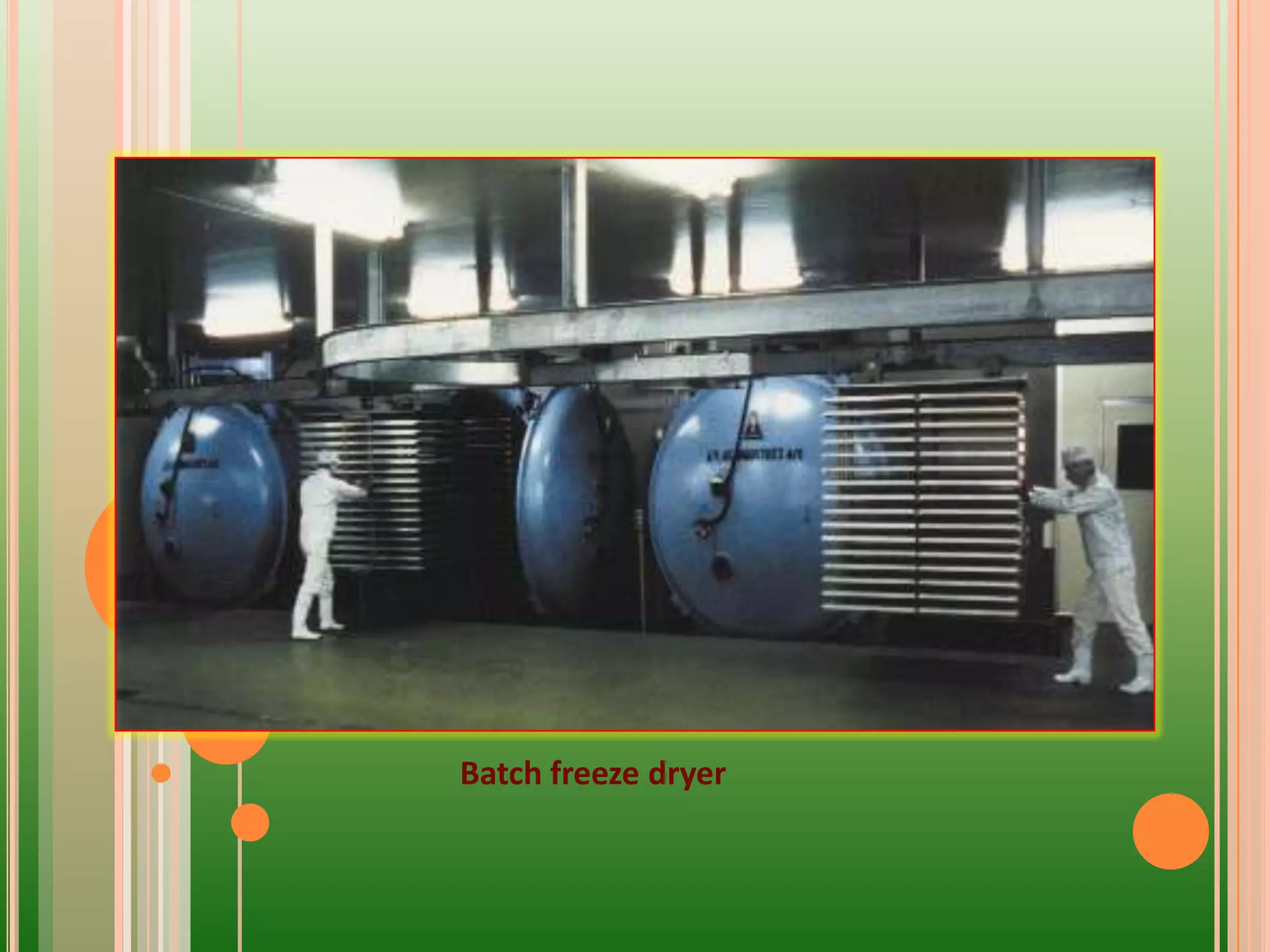 Batch freeze dryer
 