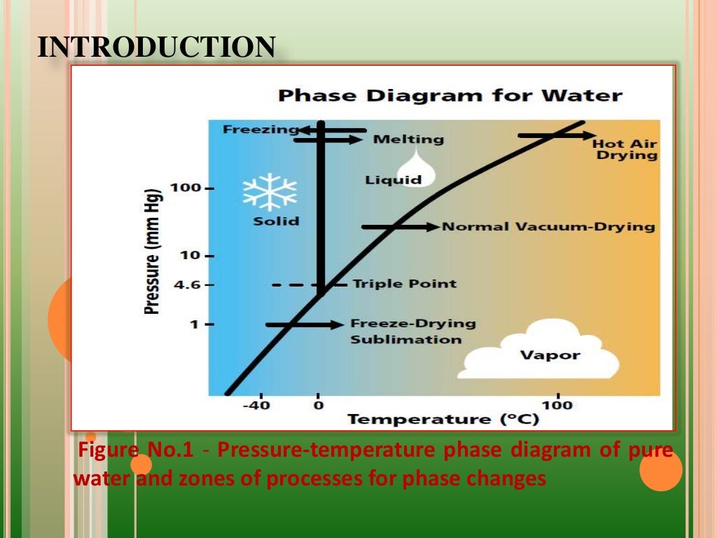 Freeze drying ppt