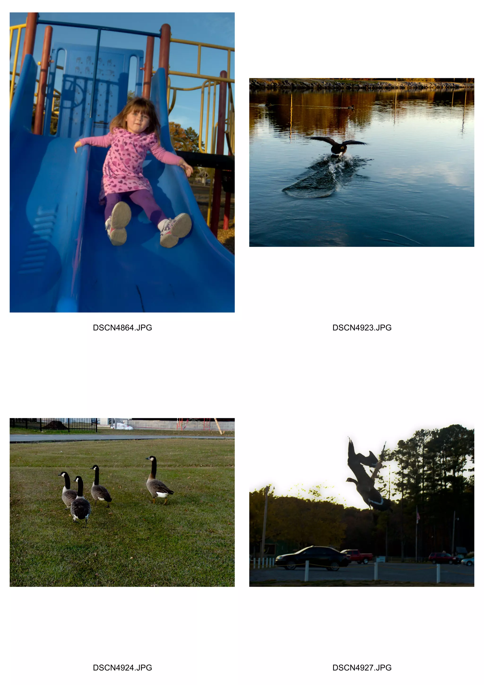 DSCN4864.JPG   DSCN4923.JPG




DSCN4924.JPG   DSCN4927.JPG
 