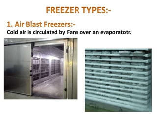 Freezing and cold storage | PDF