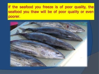 If the seafood you freeze is of poor quality, the
seafood you thaw will be of poor quality or even
poorer.
 