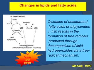 Changes in lipids and fatty acids



                Oxidation of unsaturated
                 fatty acids or triglycerides
                in fish results in the
                formation of free radicals
                 produced through
                decomposition of lipid
                hydroperoxides via a free-
     Off
  flavors
                radical mechanism.
    and
  ordors
                                Mackie, 1993
                                                26
 