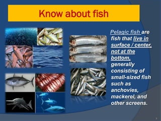 Know about fish
                  Pelagic fish are
                  fish that live in
                  surface / center,
                  not at the
                  bottom,
                  generally
                  consisting of
                  small-sized fish
                  such as
                  anchovies,
                  mackerel, and
                  other screens.

                                      3
 