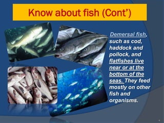 Know about fish (Cont’)
                  Demersal fish,
                  such as cod,
                  haddock and
                  pollock, and
                  flatfishes live
                  near or at the
                  bottom of the
                  seas. They feed
                  mostly on other
                  fish and
                  organisms.


                                    4
 