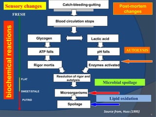 Catch-bleeding-gutting
Sensory changes                                                                              Post-mortem
                                                                                               changes
                    FRESH
                                                Blood circulation stops
biochemical reactions



                                  Glycogen                                Lactic acid


                                    ATP falls                                pH falls           AUTOLYSIS


                                 Rigor mortis                         Enzymes activated


                                                Resolution of rigor and
                        FLAT                          autolysis
                                                                                 Microbial spoilage
                        SWEET/STALE
                                                  Microorganisms

                        PUTRID                                                          Lipid oxidation
                                                       Spoilage

                                                                                 Source from, Huss (1995)
                                                                                                            9
 