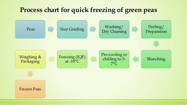 Freezing of green peas ice insect diagram 