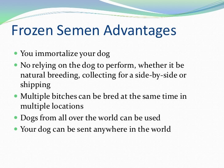 Freezing Semen and TCI by Block Sporthounds