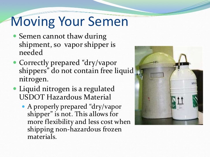 Freezing Semen and TCI by Block Sporthounds