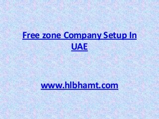 Free zone Company Setup In
UAE

www.hlbhamt.com

 