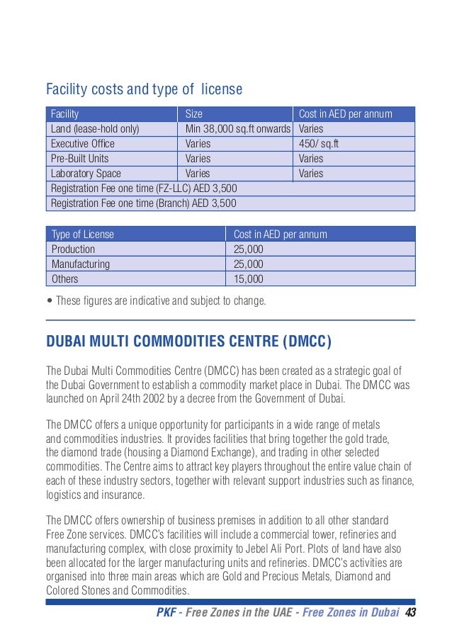 Dmcc business plan