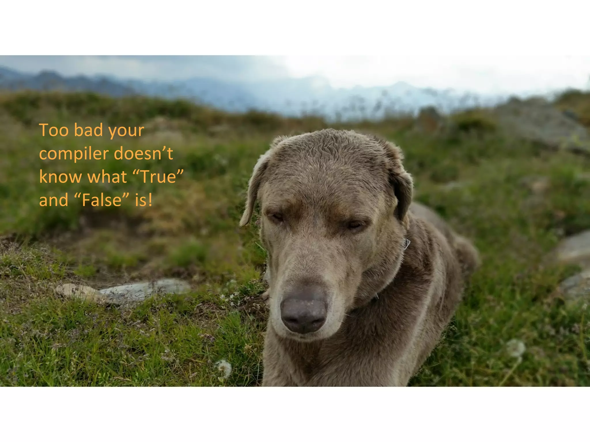 Too bad your
compiler doesn’t
know what “True”
and “False” is!
 