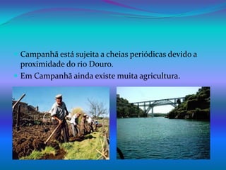 Campanhã está sujeita a cheias periódicas devido a proximidade do rio Douro. Em Campanhãainda existe muita agricultura. 