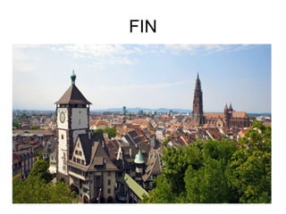FIN 