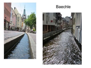Baechle 