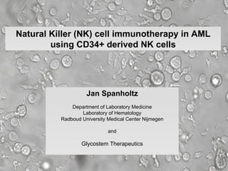 Jan Spanholtz Department of Laboratory Medicine Laboratory of Hematology Radboud University Medical Center Nijmegen and Glycostem Therapeutics Natural Killer (NK) cell immunotherapy in AML using CD34+ derived NK cells 