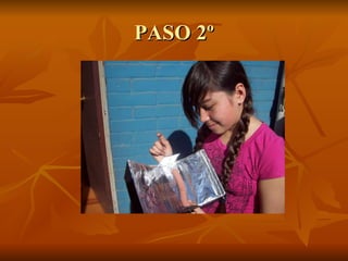 PASO 2º 