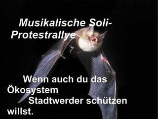 Wenn auch du das Ökosystem  Stadtwerder schützen willst. Musikalische Soli-Protestrallye   