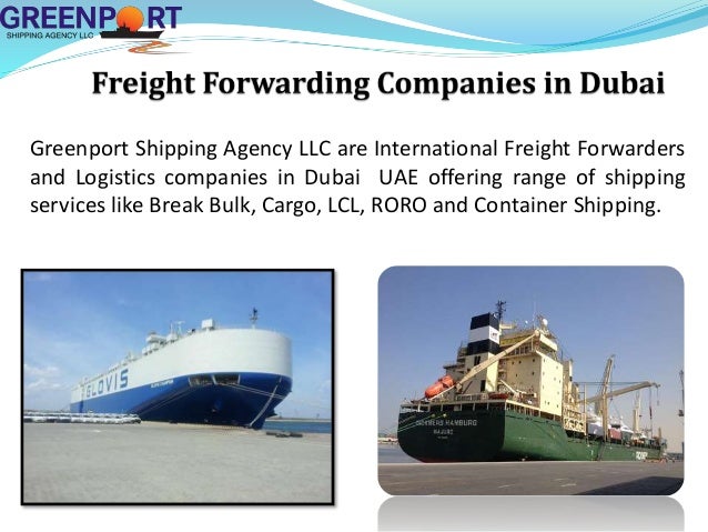 Forex international llc dubai