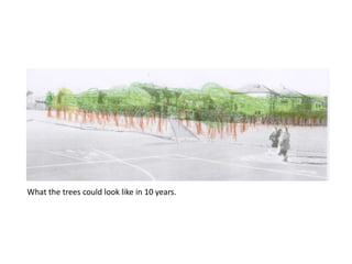 What the trees could look like in 10 years.