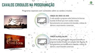 CAVALOS CRIOULOS NA PROGRAMAÇÃO
Programas especiais com conteúdos sobre os cavalos crioulos.
A cada episódio o programa exibe histórias de diversas
fazendas do Brasil que criam cavalos crioulos.
Aproveitamento com assinatura de chamadas, vinhetas de
abertura, encerramento e comerciais
Durante um ano o patrocinador terá aproveitamento no
programa Cavalos Crioulos com exibições Sáb, 9h e Seg, 11h.
Aproveitamento com assinatura de chamadas, vinhetas de
abertura, encerramento e comerciais
EXIBIÇÃO: SÁB, 20H30 E SEX. 8H30
EXIBIÇÃO: Seg 9h30 e Sáb, 9h10
 