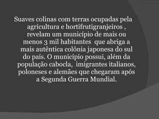 Suaves colinas com terras ocupadas pela agricultura e hortifrutigranjeiros , revelam um município de mais ou menos 3 mil habitantes  que abriga a mais autêntica colônia japonesa do sul do país. O município possui, além da população cabocla,  imigrantes italianos, poloneses e alemães que chegaram após a Segunda Guerra Mundial. 