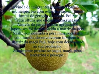 A vinda de imigrantes japoneses para o município, fez com estes buscassem novas fontes de geração de renda. Foi na fruticultura que encontraram sucesso. Através da parceria com agrônomos japoneses foi desenvolvida a matriz da pêra Nashi, considerada a pêra mais suculenta do mundo, desenvolveram também a matriz da maçã Fuji, hoje com decréscimo na sua produção.  Atualmente produz-se caqui, maçã, pêra, nectarina e pêssego.  