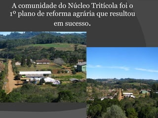 A comunidade do Núcleo Tritícola foi o 1º plano de reforma agrária que resultou em sucesso . 