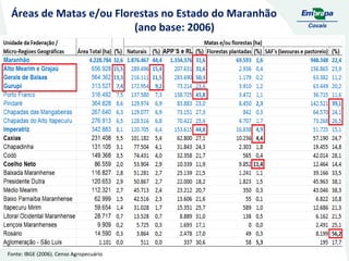 Áreas de Matas e/ou Florestas no Estado do Maranhão
(ano base: 2006)

Fonte: IBGE (2006). Censo Agropecuário

 